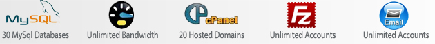 Business Website Hosting